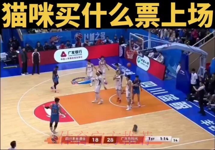 首节末段一只猫跑入球场，广东暂领先四川10分